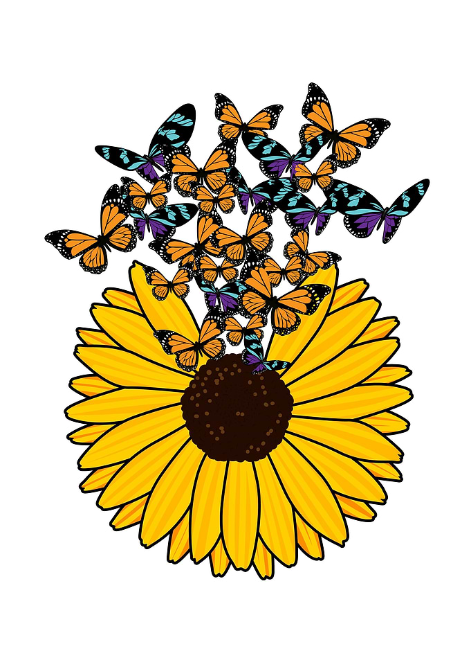 Sunflower Butterflies