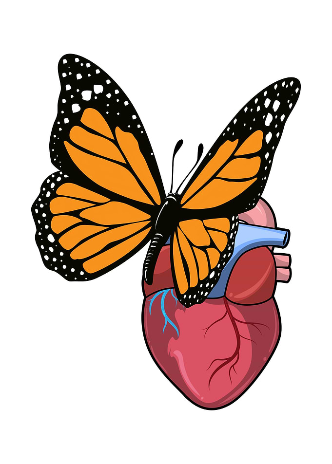 Butterfly Heart