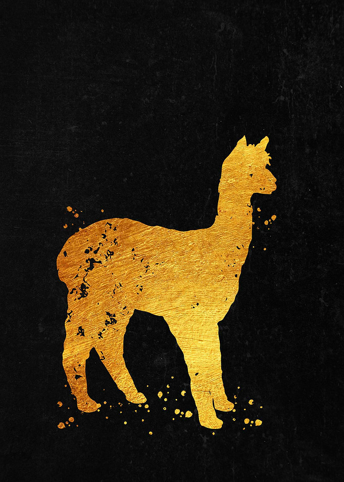 Alpaca Llama