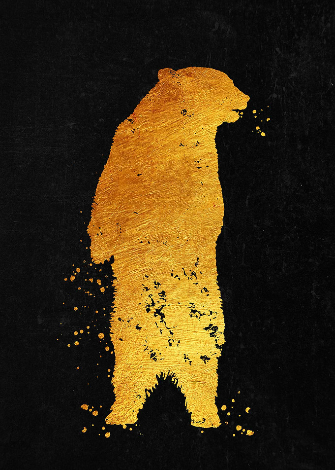 Bear