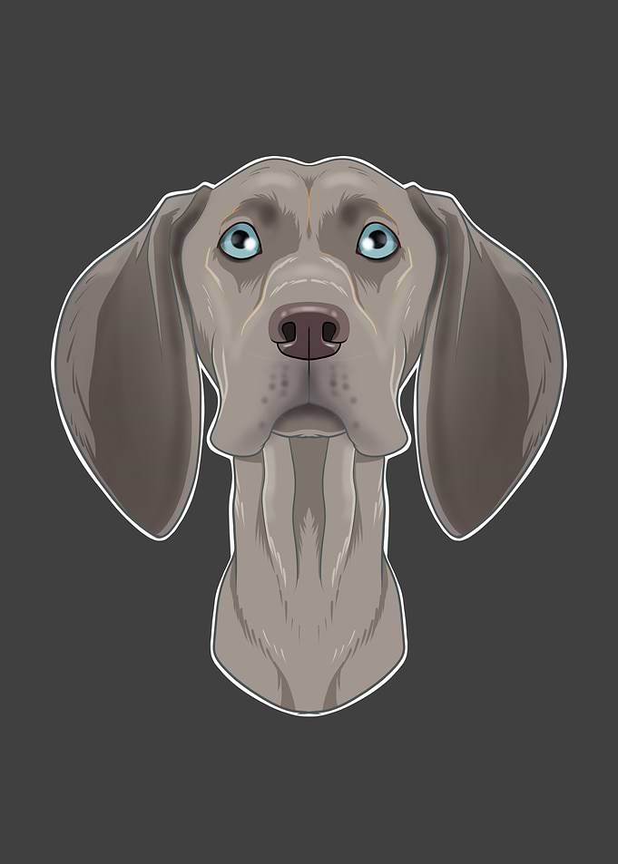 Weimaraner Lover I Dog