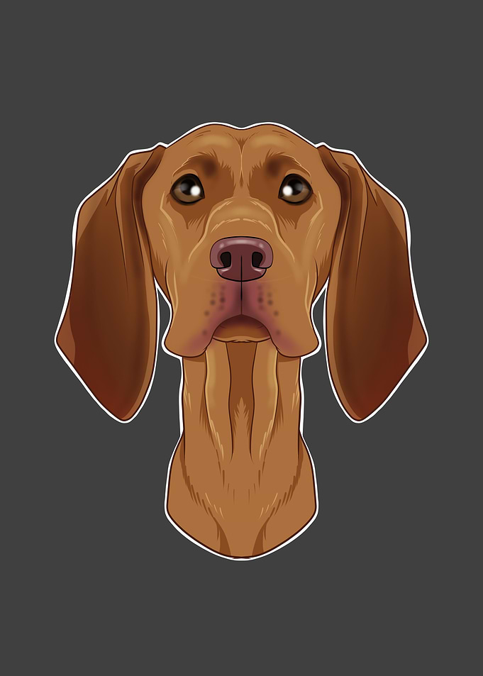Vizsla Lover I Dog Lover I
