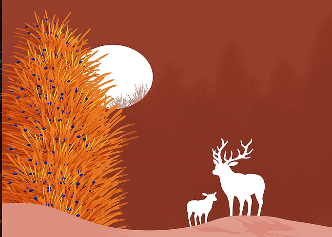 Reindeer in Desert