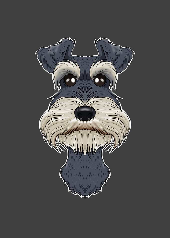Miniature Schnauzer Lover
