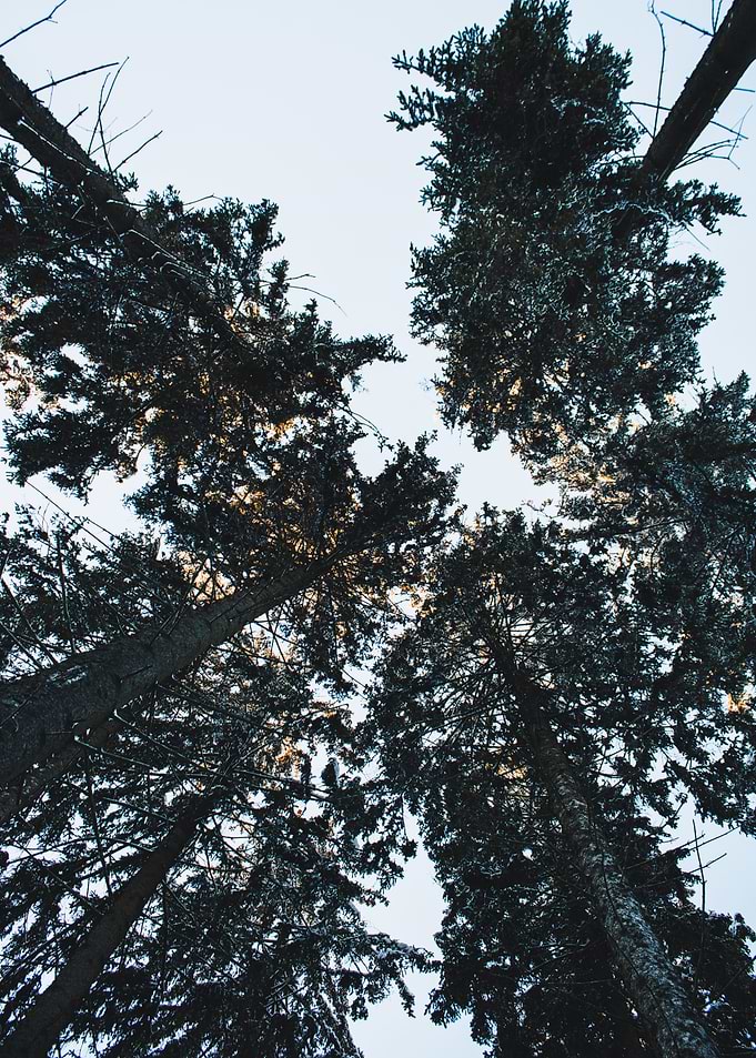 pov you look up