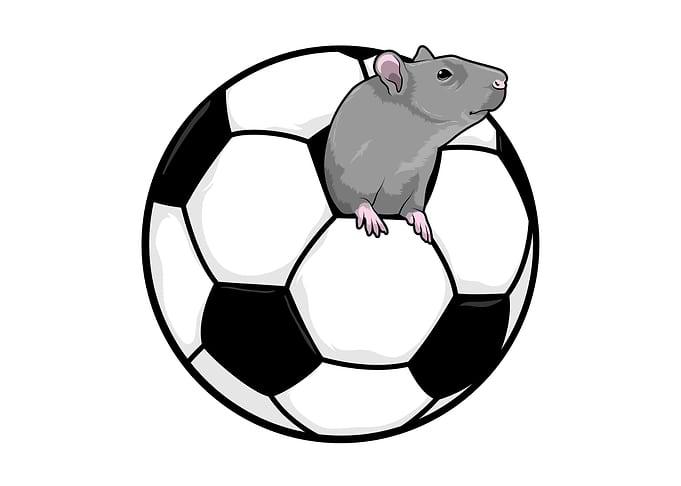 Rat Soccer Sports