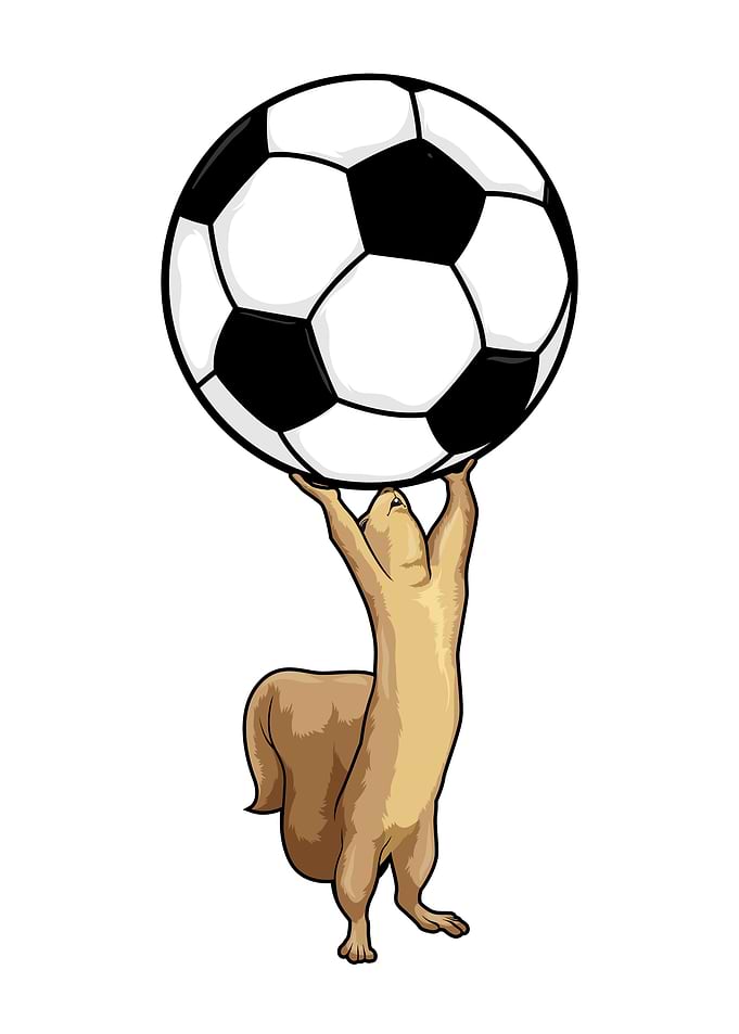 Squirrel Soccer Sports