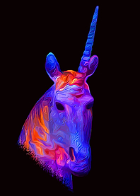 Unicorn Fairy Night