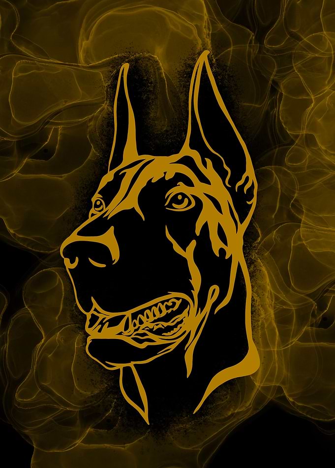Doberman