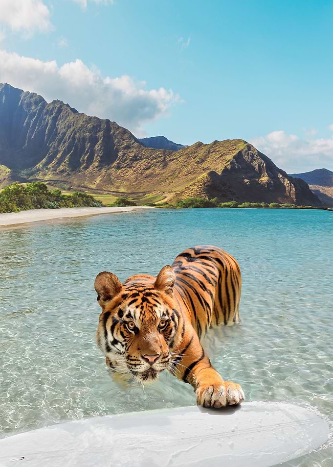 Tiger And Surfboard