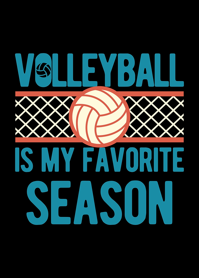Funny Volleyball
