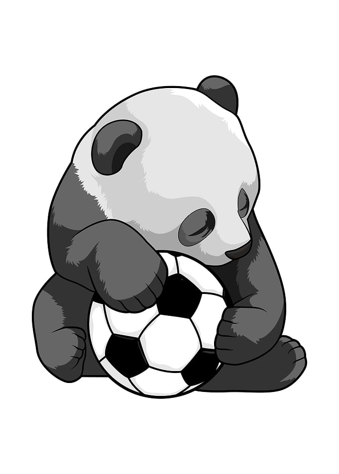 Panda Soccer Sports