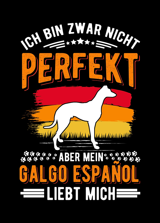 Galgo Espaol Spanischer