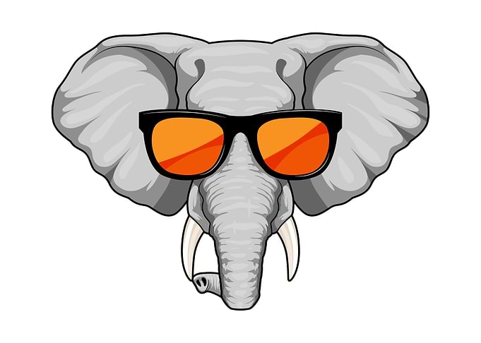 Elephant Sunglasses