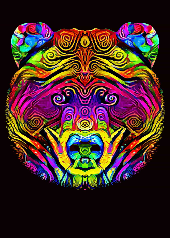 Bear Head Colorful Art