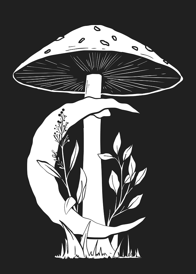 Cottagecore Mushroom Moon