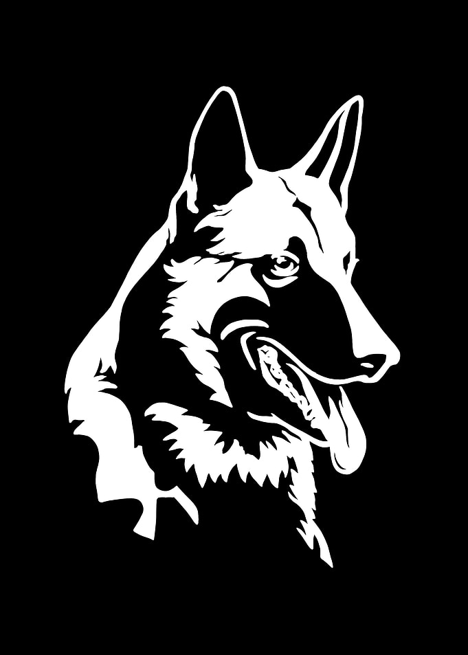 Doggy