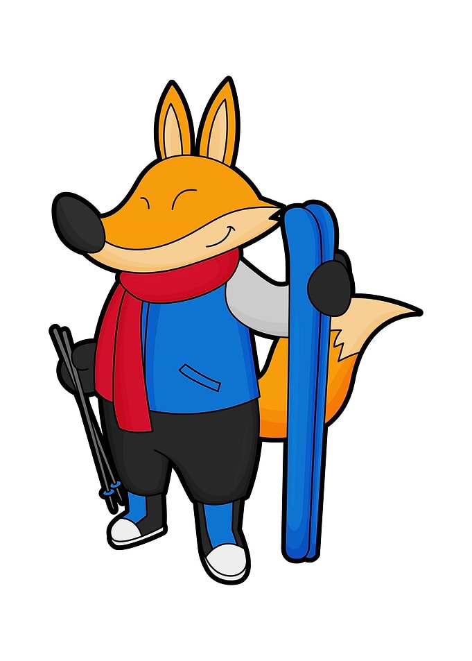 Fox Skier Ski poles
