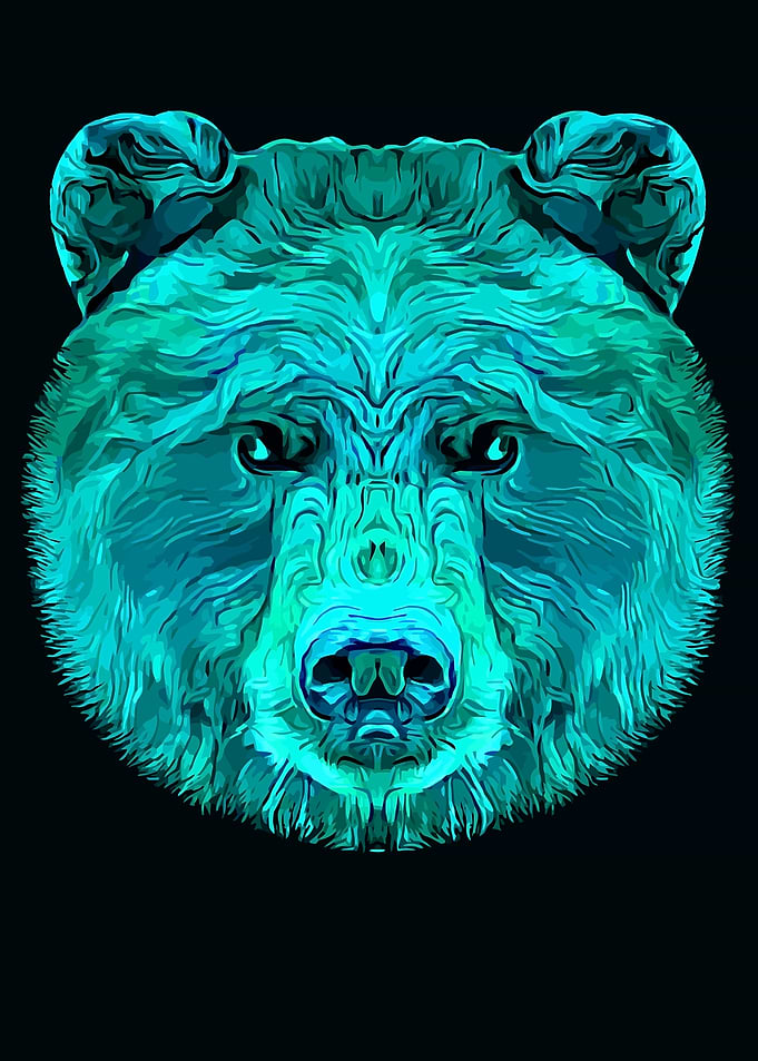 Bear Head Turquoise