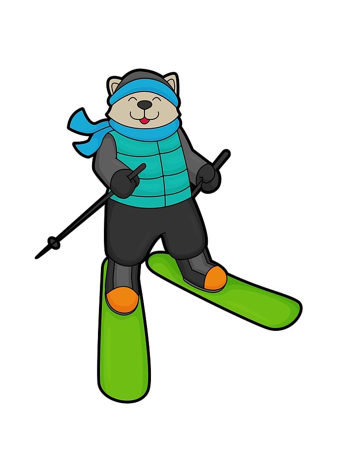 Cat Skier Ski poles