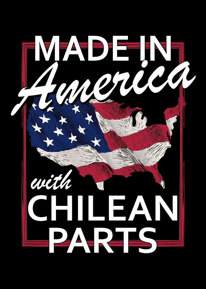 American And Chilean