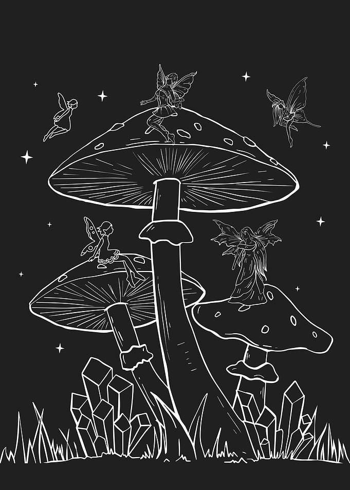 Fairycore Fairy Mushrooms