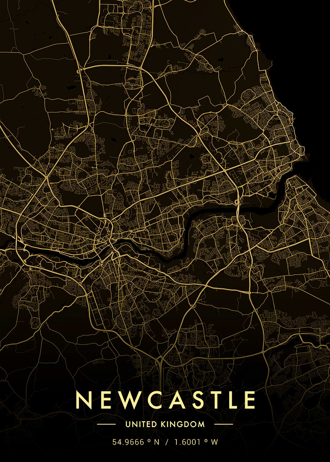 Newcastle City Map Gold