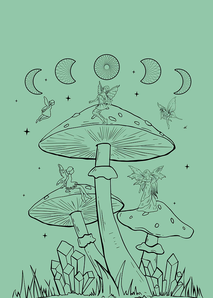 Fairycore Fairy Mushrooms