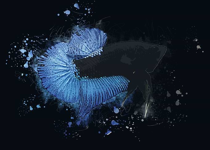 Blue Black Light