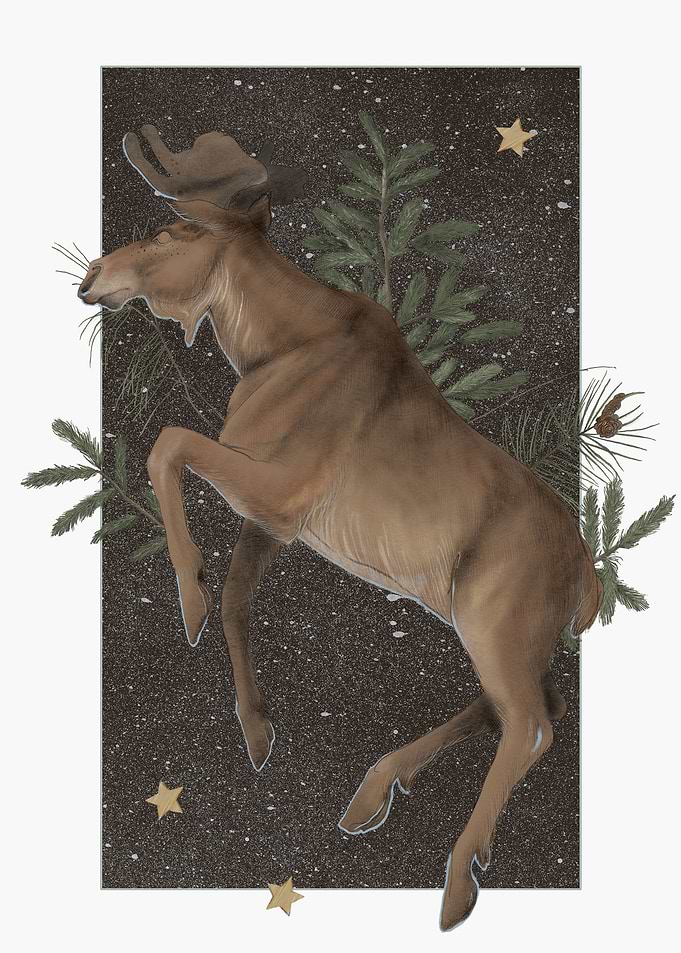 Wild Elk Floral