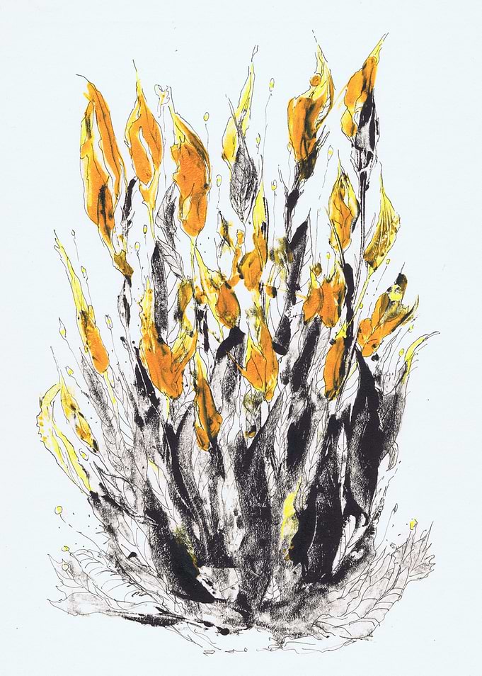 Yellow meadow
