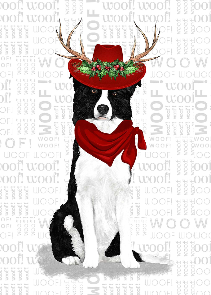 Border Collie Christmas
