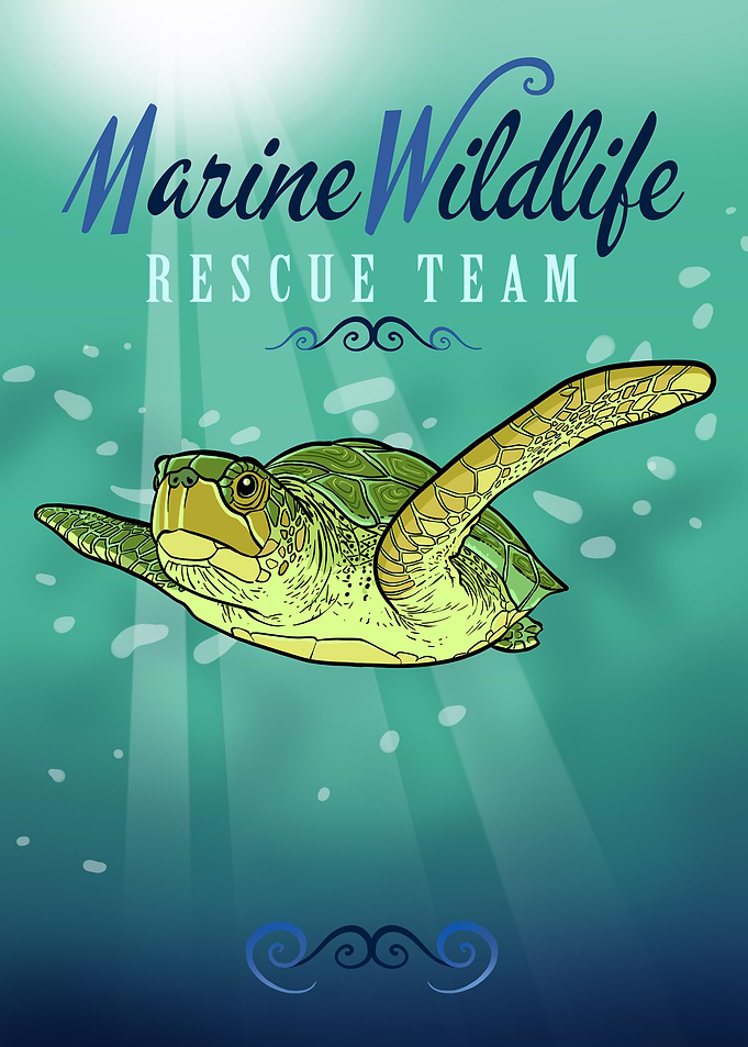 Marine Turtle