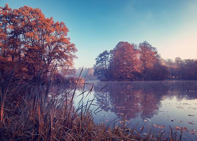 Autumn foggy lake in park