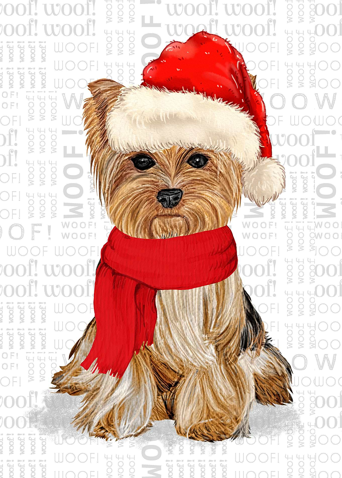 Yorkshire Christmas Dog