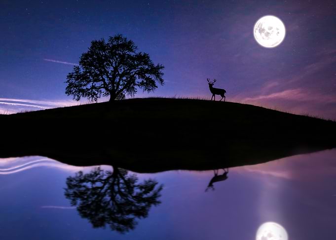 Night Lake Landscape