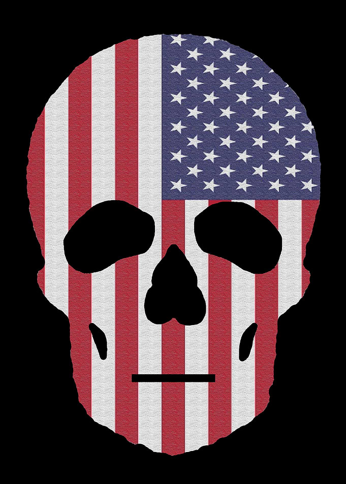 USA Flag Skull