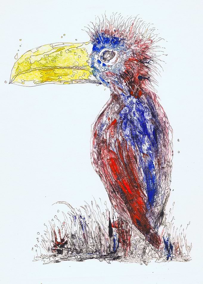 Bird with a blue wing