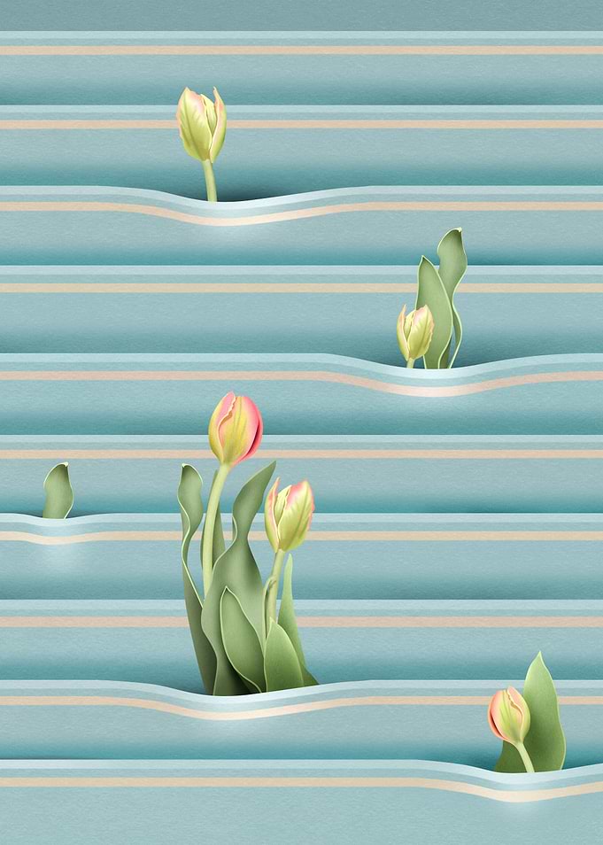 Young peach tulips