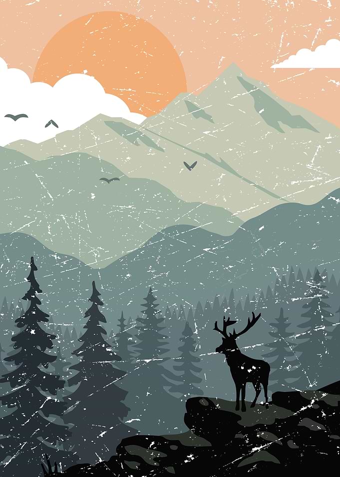 Nature Illustration