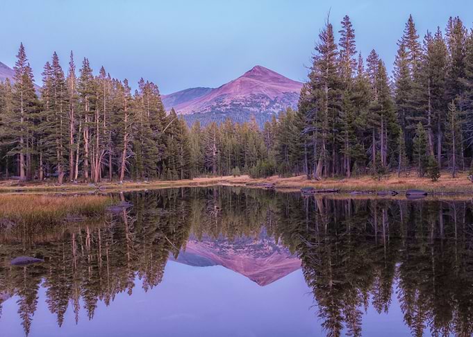 Reflections