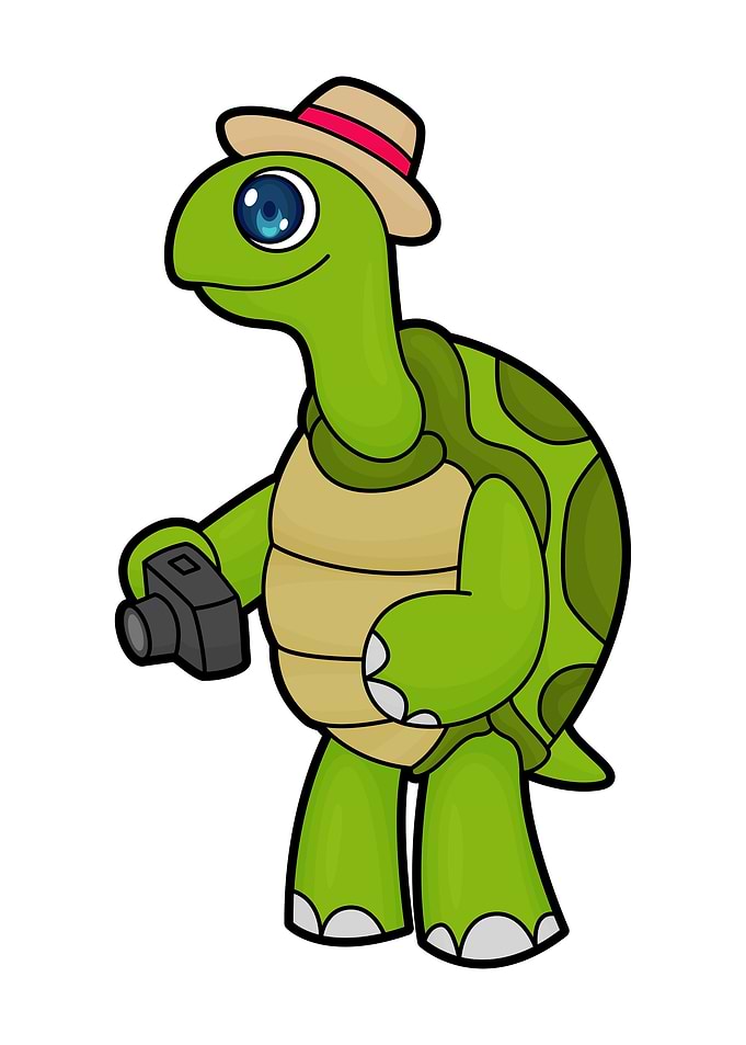 Turtle Photographer Camera