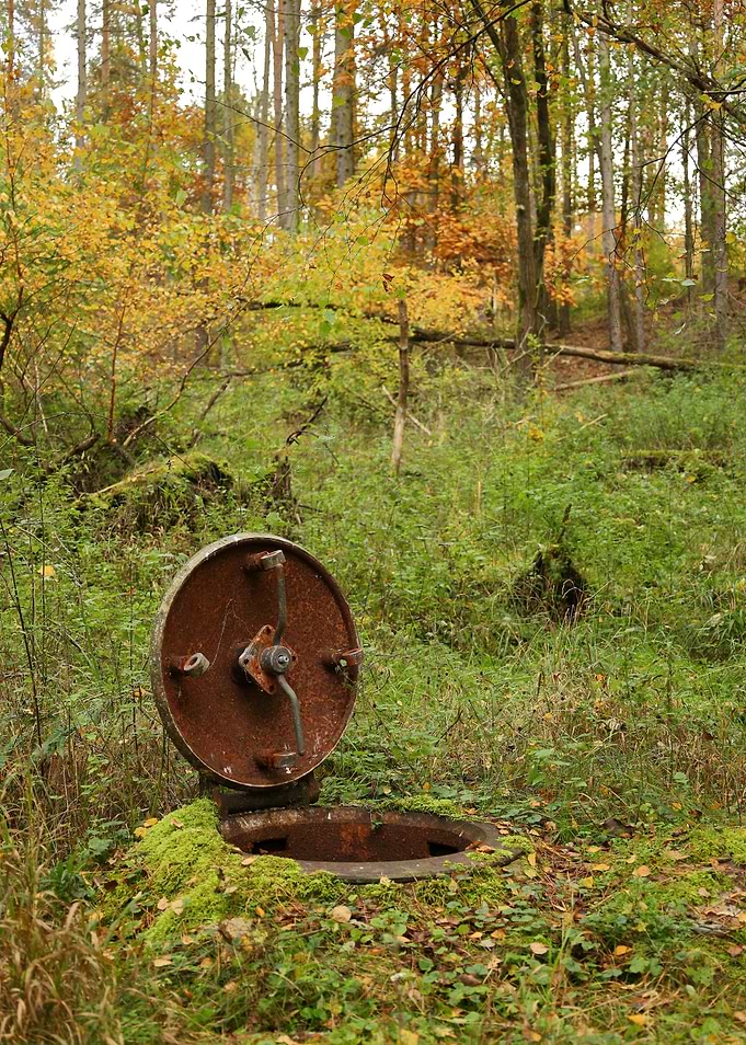 Forest Submarine