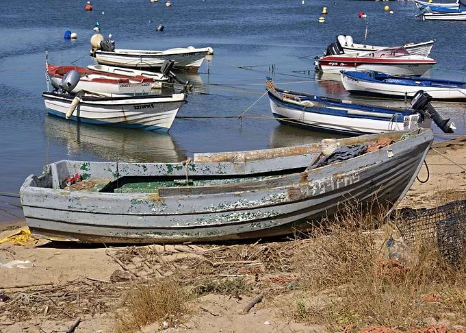 Traditional fishing boats