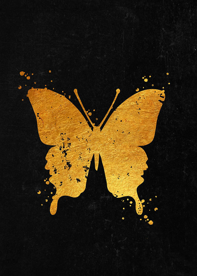Butterfly 2