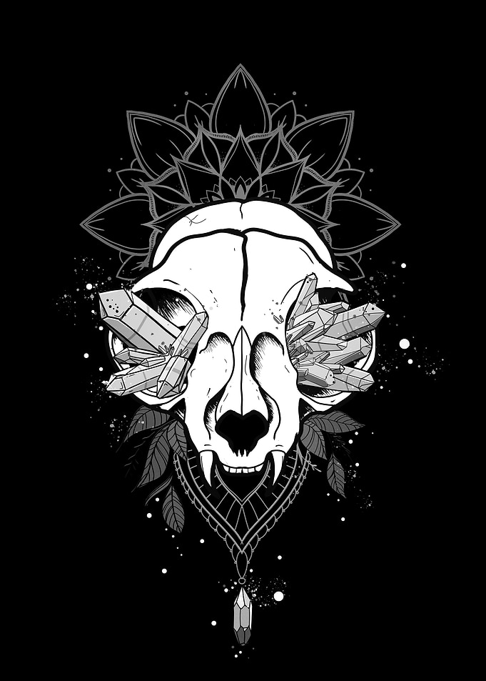Cat Skull