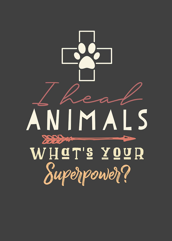 Veterinarian Gift