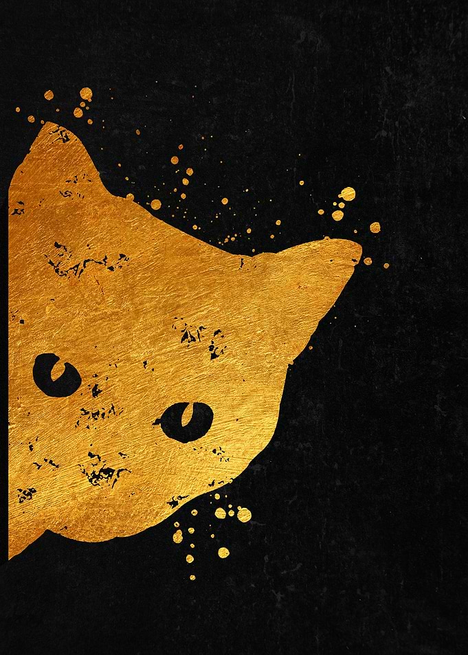 Cat Black