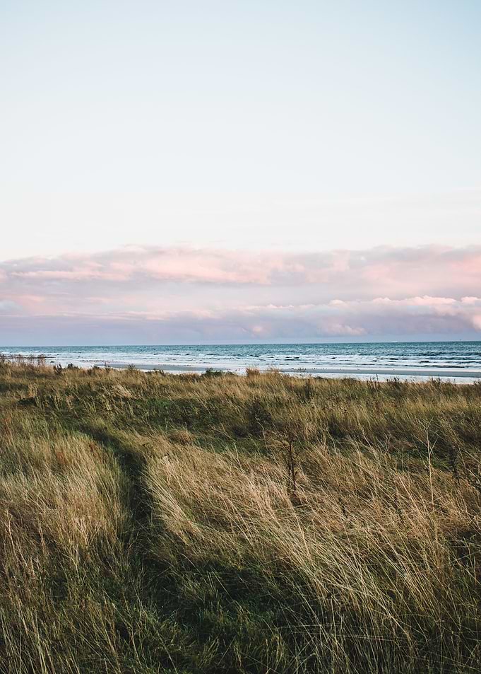 path to the shore