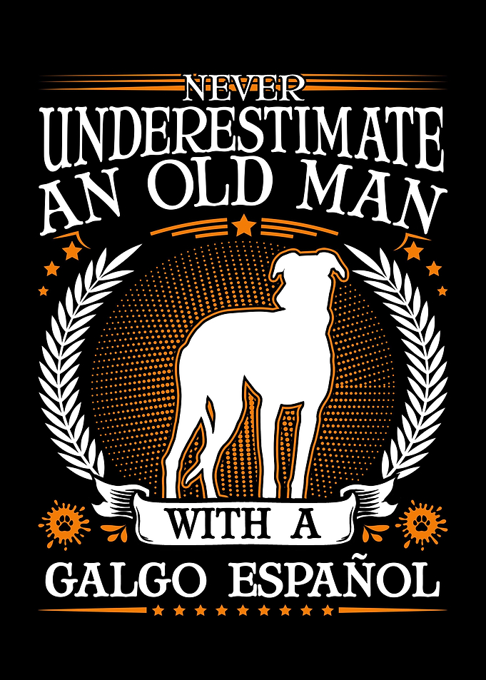 Galgo Espaol Old Man